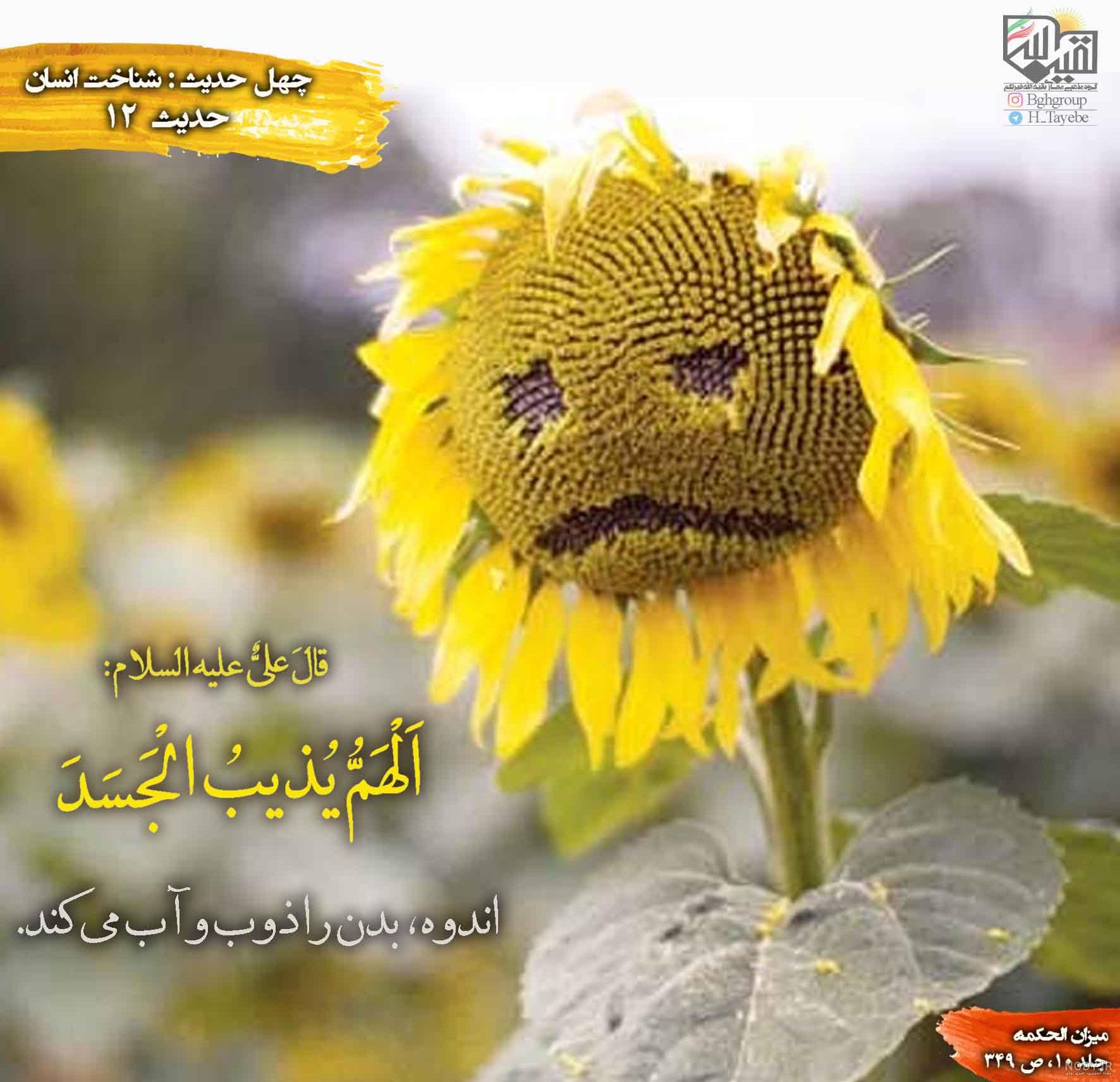 عکس نوشته - گروه تبلیغی تمیم عکس نوشته - گروه تبلیغی تمیم