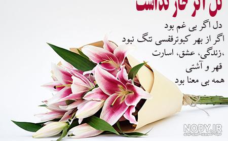 عکس گل رز برای پروفایل تلگرام و اینستاگرام • مجله تصویر زندگی عکس گل رز برای پروفایل تلگرام و اینستاگرام • مجله تصویر زندگی