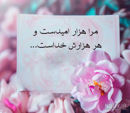 عکس گل های زیبا و خاص برای پروفایل عکس گل های زیبا و خاص برای پروفایل