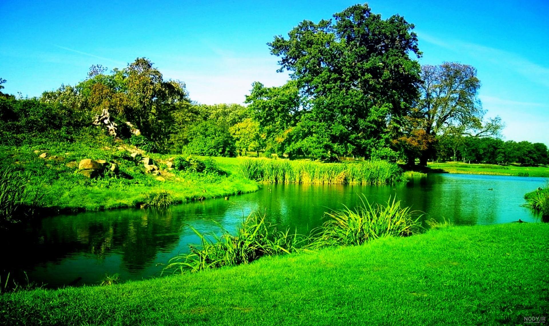 عکسهای زیبا از طبیعت