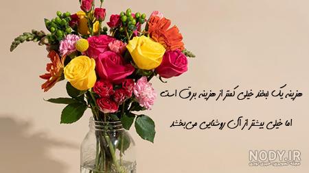 مجموعه عکس گل های زیبا برای پروفایل واتساپ (جدید) مجموعه عکس گل های زیبا برای پروفایل واتساپ (جدید)