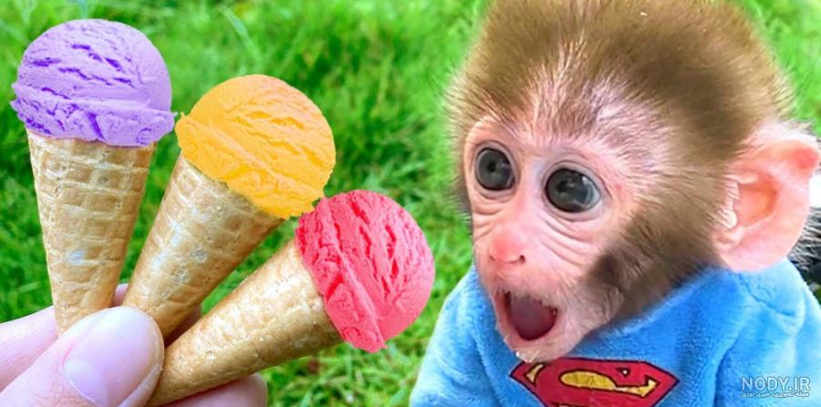 مشرق نیوز - عکس/ گونه‌های عجیب و غریب میمون‌ها