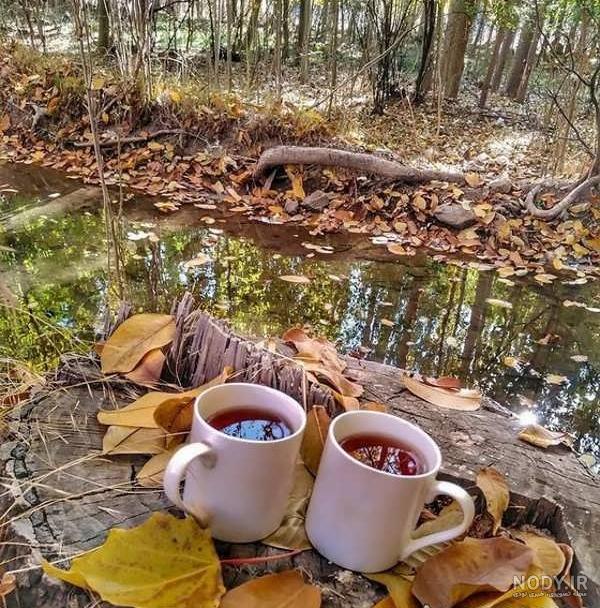 شعر چای سهراب سپهری