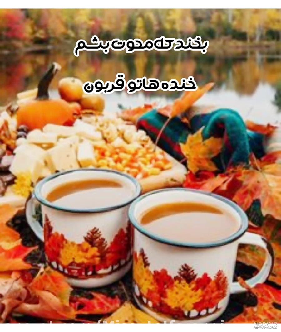 شعر چای سهراب سپهری