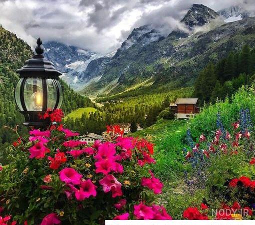 صحنه طبیعت پاییزی صبح زیبا جنگل و چمنزار قدیمی مه آلود با پرتوهای ... صحنه طبیعت پاییزی صبح زیبا جنگل و چمنزار قدیمی مه آلود با پرتوهای ...