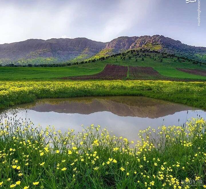 عکس آتش نشان ایران عکس آتش نشان ایران