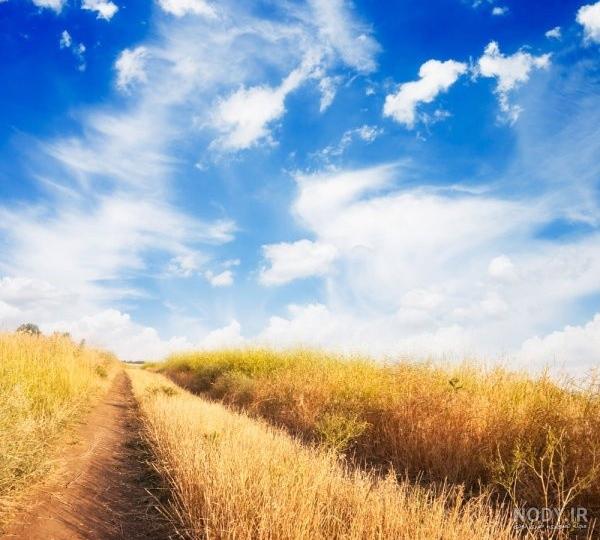 عکس صبحانه در طبیعت عکس صبحانه در طبیعت