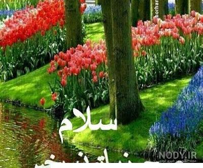 عکس صبحانه در طبیعت بهار عکس صبحانه در طبیعت بهار