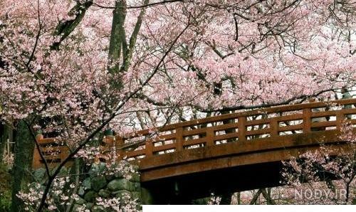 عکس طبیعت برای صبح بخیر عکس طبیعت برای صبح بخیر