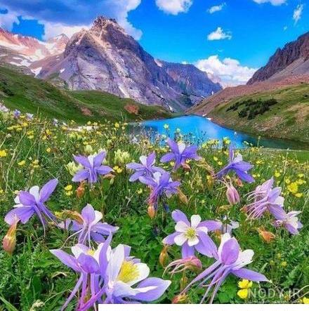 کلیپ صبح بخیر با تصاویر زیبای طبیعت کلیپ صبح بخیر با تصاویر زیبای طبیعت