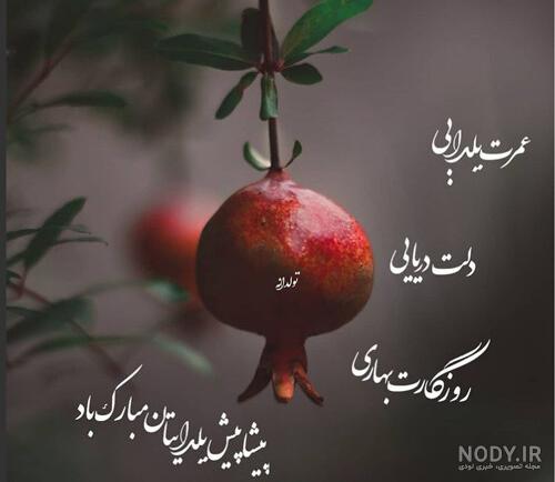 اینم آجیل شب یلدا،یلداتون پیشاپیش مبارک - عکس ویسگون