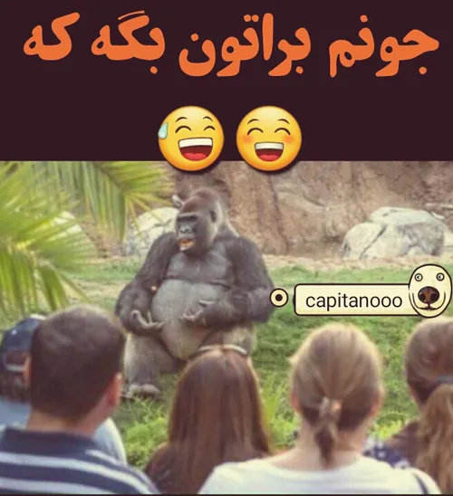 صبحتان نورانی - عکس ویسگون