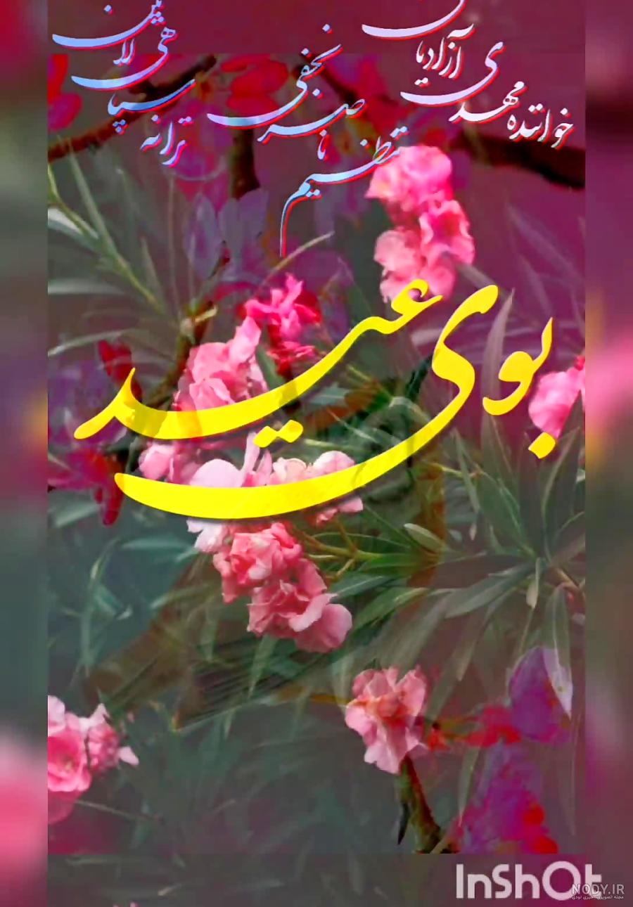 عکس های جدید آراد رادمهر