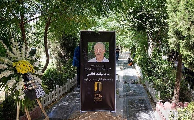 عکس های سیامک اطلسی عکس های سیامک اطلسی