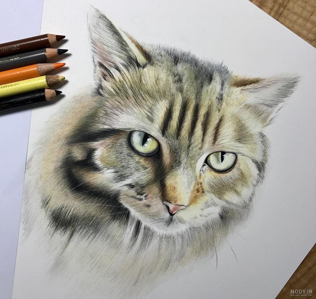 عکس نقاشی در اتاق عکس نقاشی در اتاق