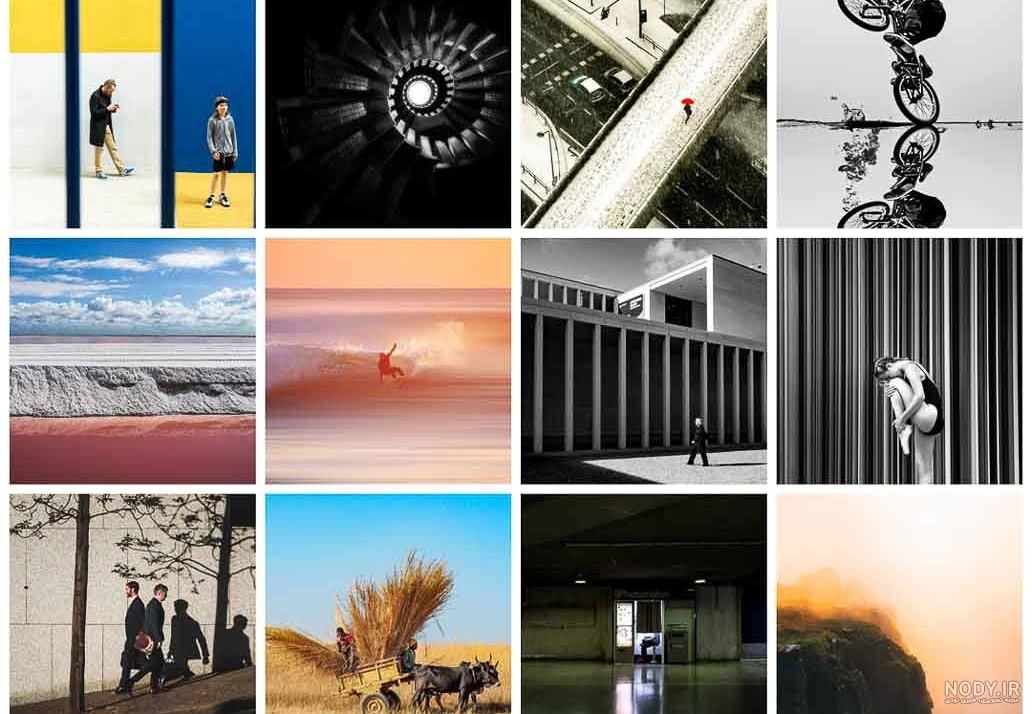25 Photos To Pick The Wildlife Photographer Of The Year People's ... 25 Photos To Pick The Wildlife Photographer Of The Year People's ...