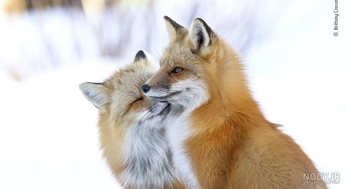 Best Of 2023: 25 Award-Winning Wildlife Photos For Your Inspiration Best Of 2023: 25 Award-Winning Wildlife Photos For Your Inspiration