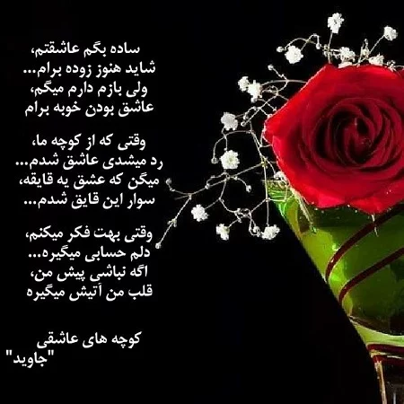 50 عکس گل و پروفایل گل زیبا برای واتساپ و تلگرام - Tjoor 50 عکس گل و پروفایل گل زیبا برای واتساپ و تلگرام - Tjoor