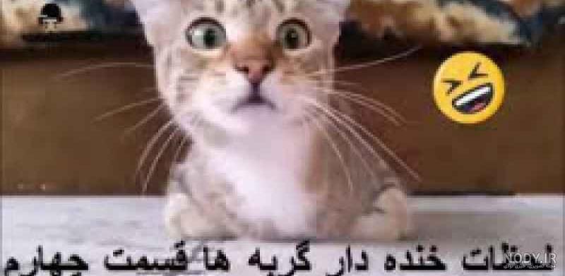 توپ ترین عکس نوشته های خنده دار و طنز توپ ترین عکس نوشته های خنده دار و طنز