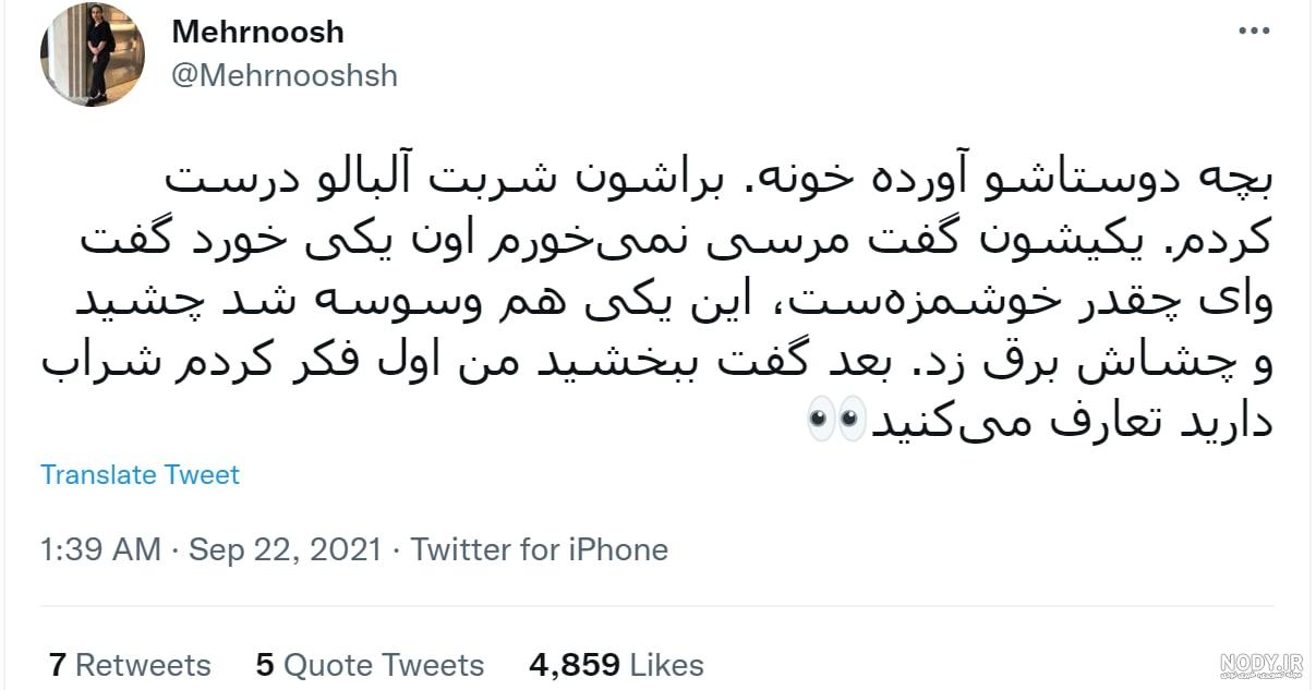 جشنواره گل‌های داوودی - تصاوير بزرگ - بهار نیوز