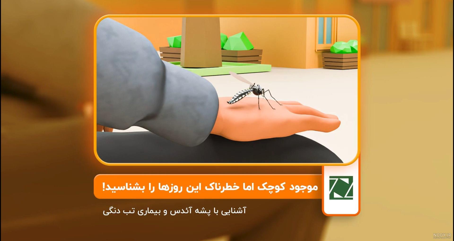 داستانی واقعی از جاده مرگ داستانی واقعی از جاده مرگ