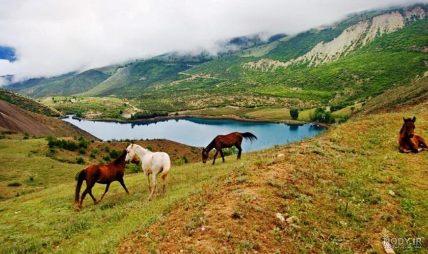 طبیعت بکر نمک آبرود شمال - تصاوير بزرگ - بهار نیوز طبیعت بکر نمک آبرود شمال - تصاوير بزرگ - بهار نیوز