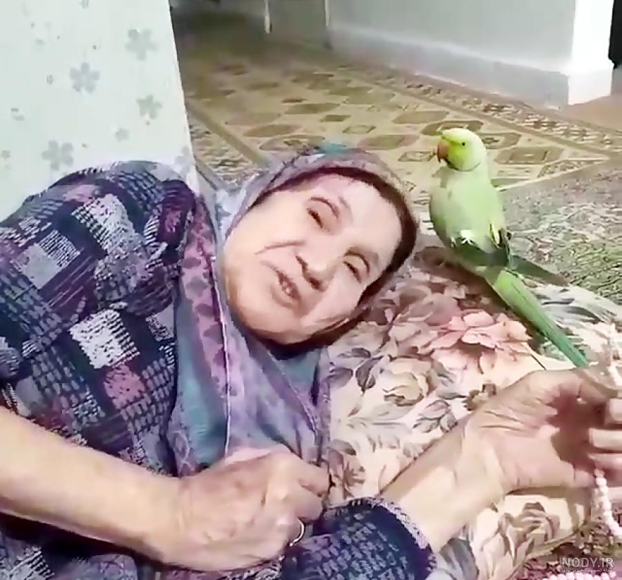 عکس حرف زدن طوطی ملنگو