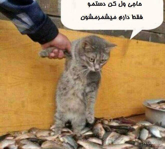 عکس های خنده دار ضد پسرا عکس های خنده دار ضد پسرا