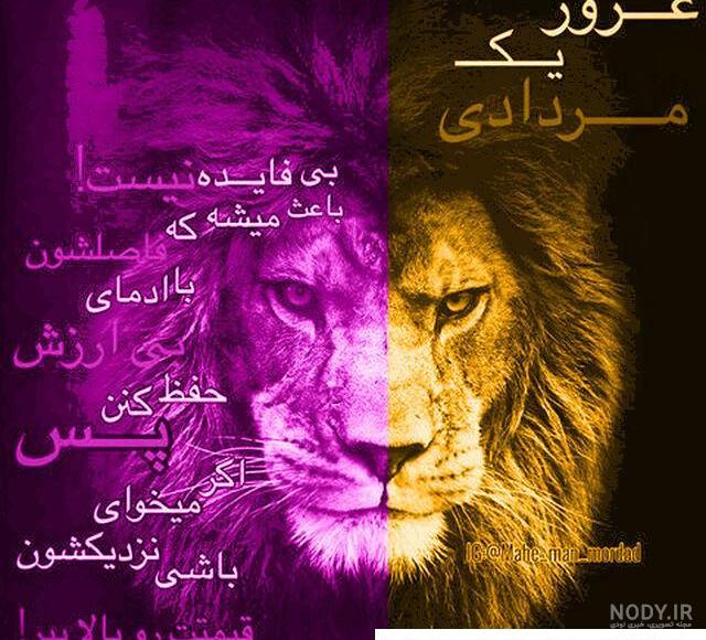 عکس شیر ماده با تاج عکس شیر ماده با تاج