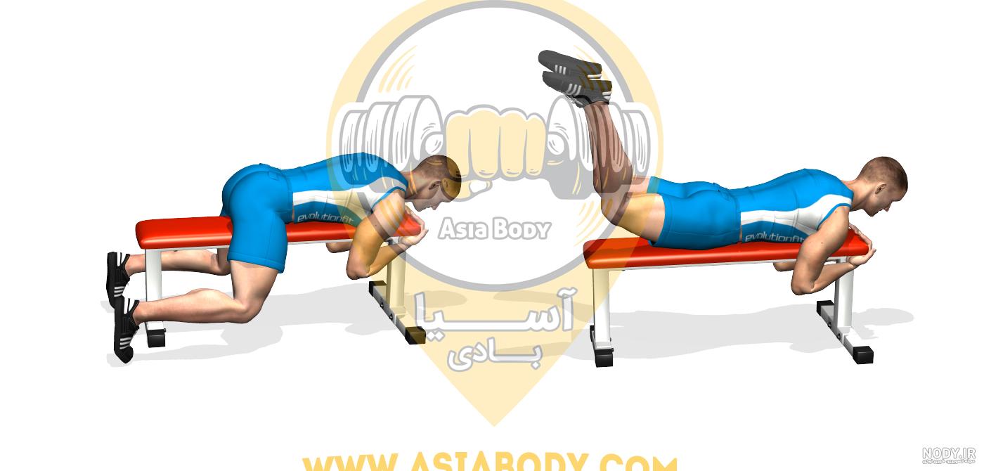 عکس لانه موش کور - عکس نودی عکس لانه موش کور - عکس نودی