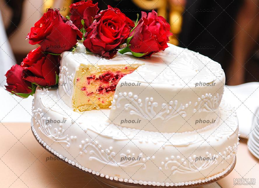 عکس/ موش کونگ‌فوکار