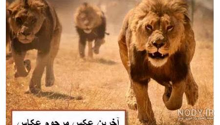عکس نوشته خنده دار پسرا - عکس نودی عکس نوشته خنده دار پسرا - عکس نودی