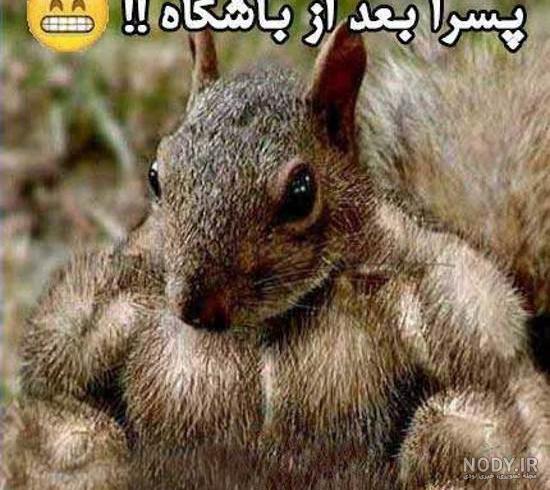 عکس پسرای خنده دار عکس پسرای خنده دار