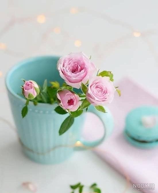 عکس گل جذاب