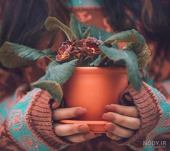عکس گل زیبا برای پروفایل شاد جدید عکس گل زیبا برای پروفایل شاد جدید