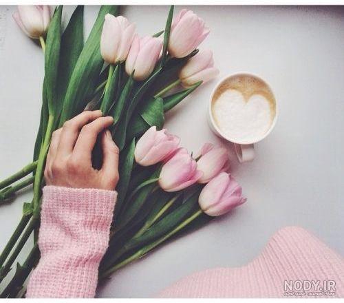 عکس گل 1403 | عکس گل بسیار زیبا برای پروفایل شاد | عکس گل برای پروفایل