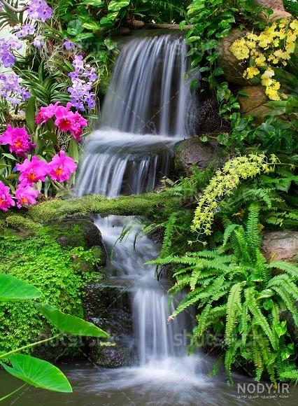 مجموعه عکس های منظره دشت گل و طبیعت های زیبا مجموعه عکس های منظره دشت گل و طبیعت های زیبا