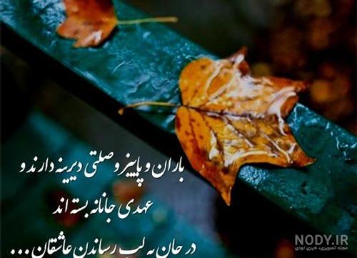 یه زن همیشه محبت میخواد توجه میخواد - فیلو