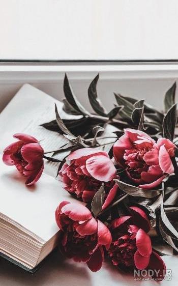 ۷۰ عکس پروفایل گل ۱۴۰۱ برای شبکه های اجتماعی مختلف
