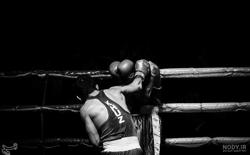عکس خفن عکس رینگ بوکس برای پروفایل
