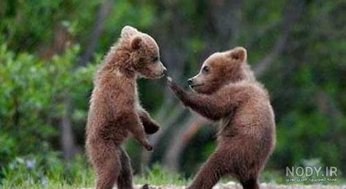 عکس پروفایل خنده دار برای گروه