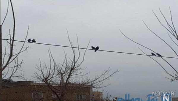 عکس پروفایل خنده دار برای گروه