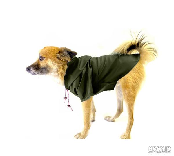 brand winter hoodie JACK RUSSELL Terrier jacket Hashtag Hunderasse ... brand winter hoodie JACK RUSSELL Terrier jacket Hashtag Hunderasse ...