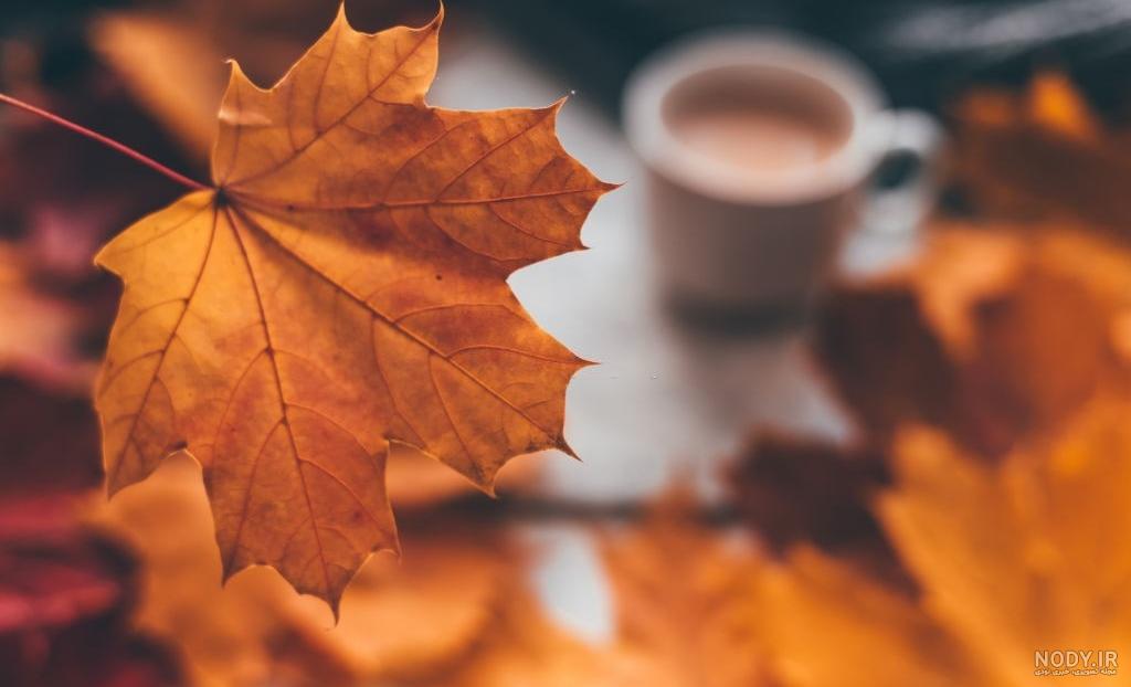 Autumn Wallpapers | Best Wallpapers Autumn Wallpapers | Best Wallpapers