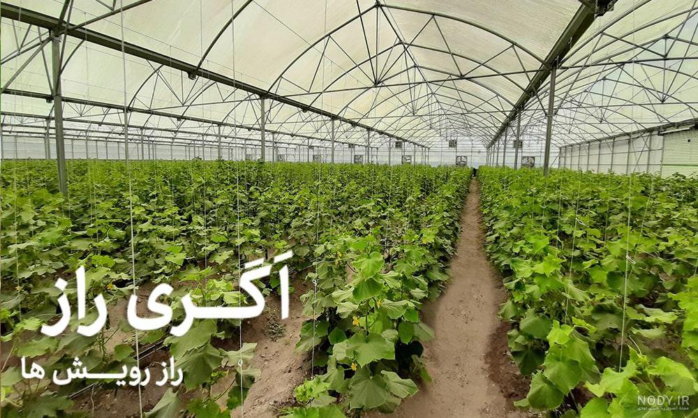 ایده سمی اسم گروه دوستانه😭😂 - فیلم ویسگون ایده سمی اسم گروه دوستانه😭😂 - فیلم ویسگون