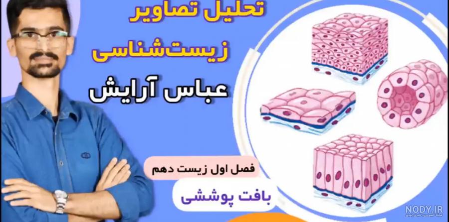 بافت‌های بدن انسان - فرزین رستمی