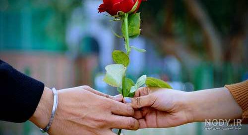 تصاویر گل رز غمگین - عکس نودی تصاویر گل رز غمگین - عکس نودی