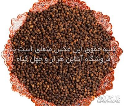 خواص فلفل سیاه” و کاربردهای جالب فلفل سیاه در طب سنتی