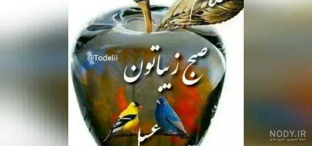 صبحت بخیر عزیزم - تماشا صبحت بخیر عزیزم - تماشا