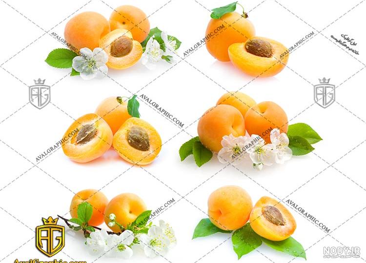 عکس آلو قرمز عکس آلو قرمز